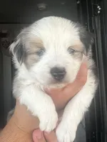 processed/73819afb-aa93-43a7-bed8-ff0d7b30175c/listing/f95aa676-bb14-4da7-be51-d7d3b9425186/77bfa037-9c78-4dde-a64f-f8a4c2449219