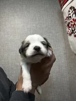 processed/73819afb-aa93-43a7-bed8-ff0d7b30175c/listing/f95aa676-bb14-4da7-be51-d7d3b9425186/936a67f7-6a61-4707-9ff1-d149d7fadd21