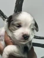 processed/73819afb-aa93-43a7-bed8-ff0d7b30175c/listing/f95aa676-bb14-4da7-be51-d7d3b9425186/b8ae4127-c29f-46bf-ae0f-73a651500fc1