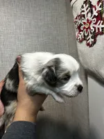 processed/73819afb-aa93-43a7-bed8-ff0d7b30175c/listing/f95aa676-bb14-4da7-be51-d7d3b9425186/e6875902-a7c4-4afc-9b7a-6aafab911271