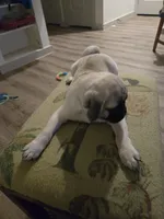 processed/738aaed0-f911-422b-8499-61f26a32bf2a/listing/dffefc5c-5134-4aac-a75a-e163f2b0f7c7/9c8a464f-a734-43bb-ba26-10fceeabff6b