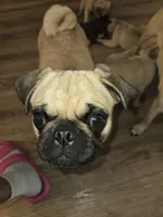 processed/738aaed0-f911-422b-8499-61f26a32bf2a/listing/dffefc5c-5134-4aac-a75a-e163f2b0f7c7/e47be205-8b3a-4372-b7cf-fe886ad108cc