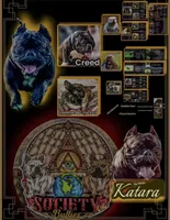 Maleficent, a female American Bully for sale in Wesley Chapel, FL – 2 of 3