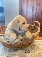 processed/73952826-bc1e-411a-9e0b-08605434c8bc/listing/04e508df-ec8d-4ab1-b45c-79b2623eae0d/2fd2bedb-63dd-4f03-a5f5-da448e8354e4