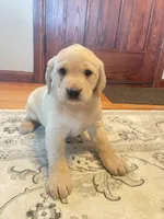 processed/73952826-bc1e-411a-9e0b-08605434c8bc/listing/04e508df-ec8d-4ab1-b45c-79b2623eae0d/47d5270f-3d40-4227-b1ec-df704aff0309