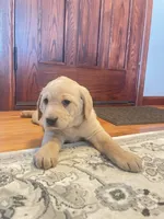 processed/73952826-bc1e-411a-9e0b-08605434c8bc/listing/04e508df-ec8d-4ab1-b45c-79b2623eae0d/8d1c11f6-372f-469c-ab4d-08e6509d14a3