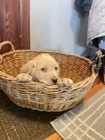 processed/73952826-bc1e-411a-9e0b-08605434c8bc/listing/059a2652-b065-4c2d-bd0a-eeb1e5527e2e/0bcb2798-855b-438f-9853-2d80938846a9