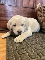 processed/73952826-bc1e-411a-9e0b-08605434c8bc/listing/059a2652-b065-4c2d-bd0a-eeb1e5527e2e/698a28ad-3be5-4aae-b9df-546b12054094