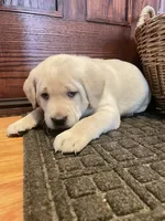 processed/73952826-bc1e-411a-9e0b-08605434c8bc/listing/059a2652-b065-4c2d-bd0a-eeb1e5527e2e/c5ec18b7-70e8-4f23-ab7c-283b2c22a835