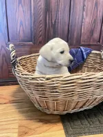 processed/73952826-bc1e-411a-9e0b-08605434c8bc/listing/53a5b279-1d7b-4ff1-a589-936254e283d2/51f7b489-d088-42ce-8dca-086863f9fcac