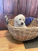 processed/73952826-bc1e-411a-9e0b-08605434c8bc/listing/53a5b279-1d7b-4ff1-a589-936254e283d2/7646e17a-fe31-45b8-9895-7ceb11d35227