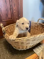 processed/73952826-bc1e-411a-9e0b-08605434c8bc/listing/872cd0e4-7d56-49d5-899b-42f810c32baf/bd7ed584-3865-40d4-8a73-a2ba44fcbf17