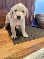 processed/73952826-bc1e-411a-9e0b-08605434c8bc/listing/872cd0e4-7d56-49d5-899b-42f810c32baf/c48eac92-a42d-493b-99d8-7cce671b1063