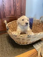 processed/73952826-bc1e-411a-9e0b-08605434c8bc/listing/872cd0e4-7d56-49d5-899b-42f810c32baf/d26e5d66-79cf-4cea-b86a-4ac54028fd65