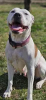 Facility photo