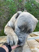 processed/739cf8ea-c097-47b9-afce-c48253f43ece/facility/5f748864-f216-4e6f-828e-b3114f7b528e