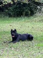 processed/739cf8ea-c097-47b9-afce-c48253f43ece/facility/78aa3b09-2b00-4c23-a031-ba886c9441b9