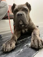 processed/739cf8ea-c097-47b9-afce-c48253f43ece/facility/be2f8f9b-6381-402a-9729-84fb7bb4a23f