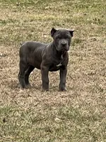 processed/739cf8ea-c097-47b9-afce-c48253f43ece/facility/cd8d3293-547a-4d3b-875e-7da575e58ecd