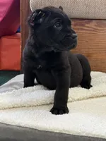 processed/739cf8ea-c097-47b9-afce-c48253f43ece/listing/e8db3701-226a-408f-a426-379bb6c73e40/8b326f87-186d-4f9e-81c2-b8f068280161