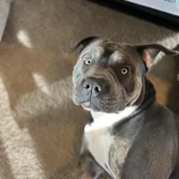 processed/73a4b4dc-8042-44c2-afc8-2538394819e1/facility/2070ca04-8c45-423a-a89e-ace8baf0fe4a