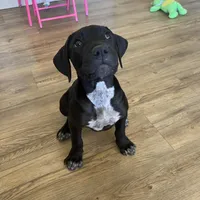 processed/73a4b4dc-8042-44c2-afc8-2538394819e1/facility/27f985f1-3745-4222-ab0b-2bee04b71813