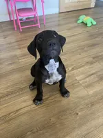 processed/73a4b4dc-8042-44c2-afc8-2538394819e1/facility/27f985f1-3745-4222-ab0b-2bee04b71813