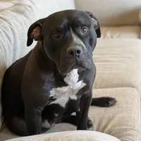 processed/73a4b4dc-8042-44c2-afc8-2538394819e1/facility/673e1644-ed9b-4f5b-a908-3ce744a99131