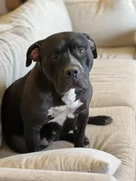 processed/73a4b4dc-8042-44c2-afc8-2538394819e1/facility/673e1644-ed9b-4f5b-a908-3ce744a99131