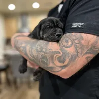 processed/73a4b4dc-8042-44c2-afc8-2538394819e1/facility/6c4db5bc-68d0-407e-bf51-d6a4c5dedd33