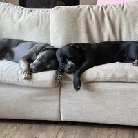 processed/73a4b4dc-8042-44c2-afc8-2538394819e1/facility/fdd42386-1959-46fa-a5e9-13588fd904ff