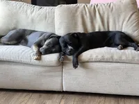 processed/73a4b4dc-8042-44c2-afc8-2538394819e1/facility/fdd42386-1959-46fa-a5e9-13588fd904ff