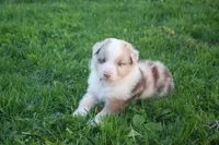 Facility photo