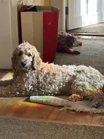 processed/73a87237-3e4f-4226-a094-71f0a8dcdfe2/facility/0cf02e5d-19df-4e8b-9651-ad66b071a135