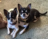 processed/73a8dffd-2582-4ed6-b3cf-eba6ea65aa7d/facility/24b9d9db-3e31-460a-8466-9cce59af2fd4