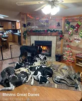 processed/73aac21a-79d8-4e75-818b-8382d43ef485/facility/219ed27c-56ba-4e14-b6ee-b2b2dc3dbdcd