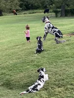 processed/73aac21a-79d8-4e75-818b-8382d43ef485/facility/23f3efc8-281c-4d51-9249-1cf67d0b4305