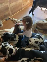 processed/73aac21a-79d8-4e75-818b-8382d43ef485/facility/69516427-1881-4e5b-bd78-dc359174b5fb