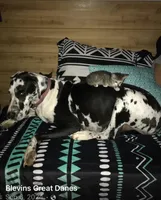 processed/73aac21a-79d8-4e75-818b-8382d43ef485/facility/7eddf003-7d71-49f8-a079-327fb5efeb71