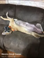 processed/73aac21a-79d8-4e75-818b-8382d43ef485/facility/a4cd66e3-e47f-4b06-94a3-2f4f3df2bc46