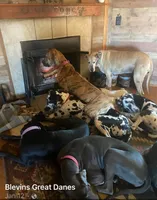 processed/73aac21a-79d8-4e75-818b-8382d43ef485/facility/a55da956-5c49-4710-b568-74ee1bbac016