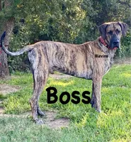 processed/73aac21a-79d8-4e75-818b-8382d43ef485/facility/e20f047a-ff7e-40ae-998d-45b464cb3309