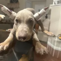 processed/73b6fa51-74ef-4dc4-a78c-32ef80b1793c/facility/21346271-96dd-4a54-8593-74e0746a9b74