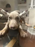 processed/73b6fa51-74ef-4dc4-a78c-32ef80b1793c/facility/21346271-96dd-4a54-8593-74e0746a9b74