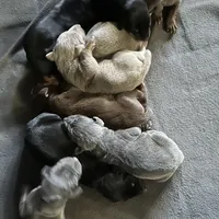 processed/73b6fa51-74ef-4dc4-a78c-32ef80b1793c/facility/3cf1e1ef-c3b5-4694-81d2-647352afe979