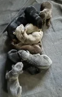 processed/73b6fa51-74ef-4dc4-a78c-32ef80b1793c/facility/3cf1e1ef-c3b5-4694-81d2-647352afe979