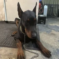 processed/73b6fa51-74ef-4dc4-a78c-32ef80b1793c/facility/7ba408db-185f-4358-b0a6-9e36091327c8