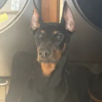 processed/73b6fa51-74ef-4dc4-a78c-32ef80b1793c/facility/8ce584f8-329d-4096-8f0a-60cffea5d664