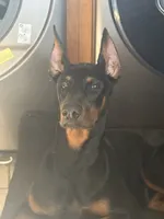 processed/73b6fa51-74ef-4dc4-a78c-32ef80b1793c/facility/8ce584f8-329d-4096-8f0a-60cffea5d664