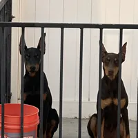 processed/73b6fa51-74ef-4dc4-a78c-32ef80b1793c/facility/ba3986df-05c4-4f5b-accb-c2b76473bcee